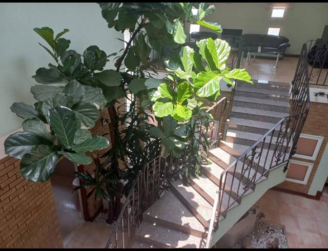 5 BEDROOM HOUSE FOR SALE IN SUNWARD PARK